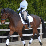 Sophie riding in perfect posture wearing The Rider EquiBelt by 4DflexiSPORT